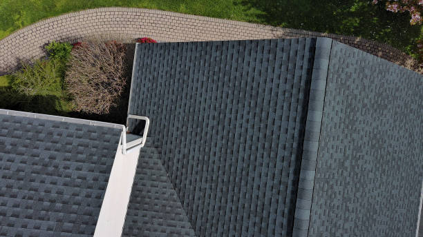 Best Skylight Installation and Repair  in Foothill Farms, CA