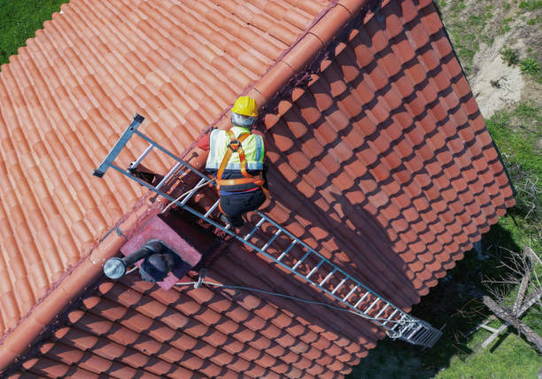 Best Roof Moss and Algae Removal  in Foothill Farms, CA