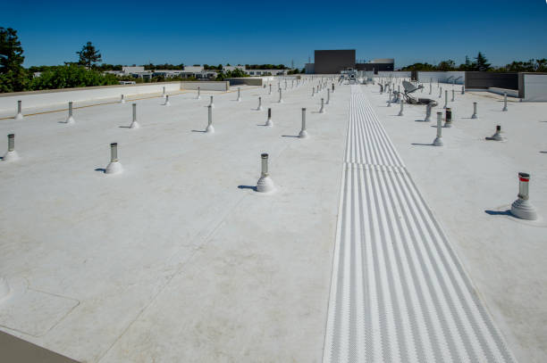 Best Roof Ventilation Installation  in Foothill Farms, CA